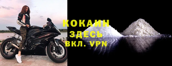 молекула духа Осташков