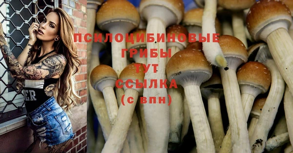 гидропоника Зеленокумск