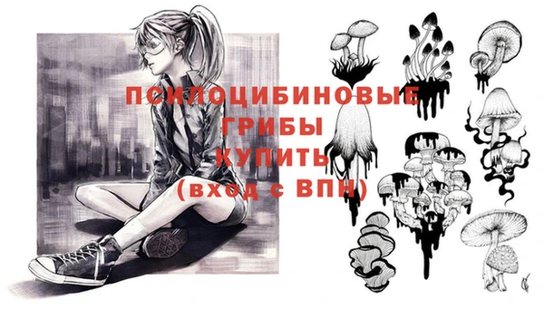 дмт Иннополис