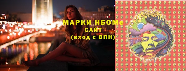apvp Инта