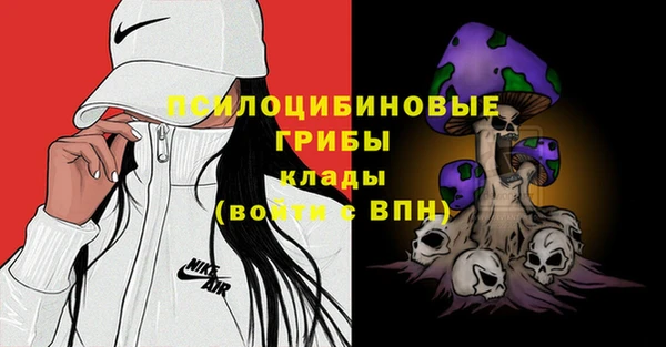 молекула духа Осташков