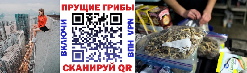 Купить где Ишим Галлюциногенные грибы мицелий